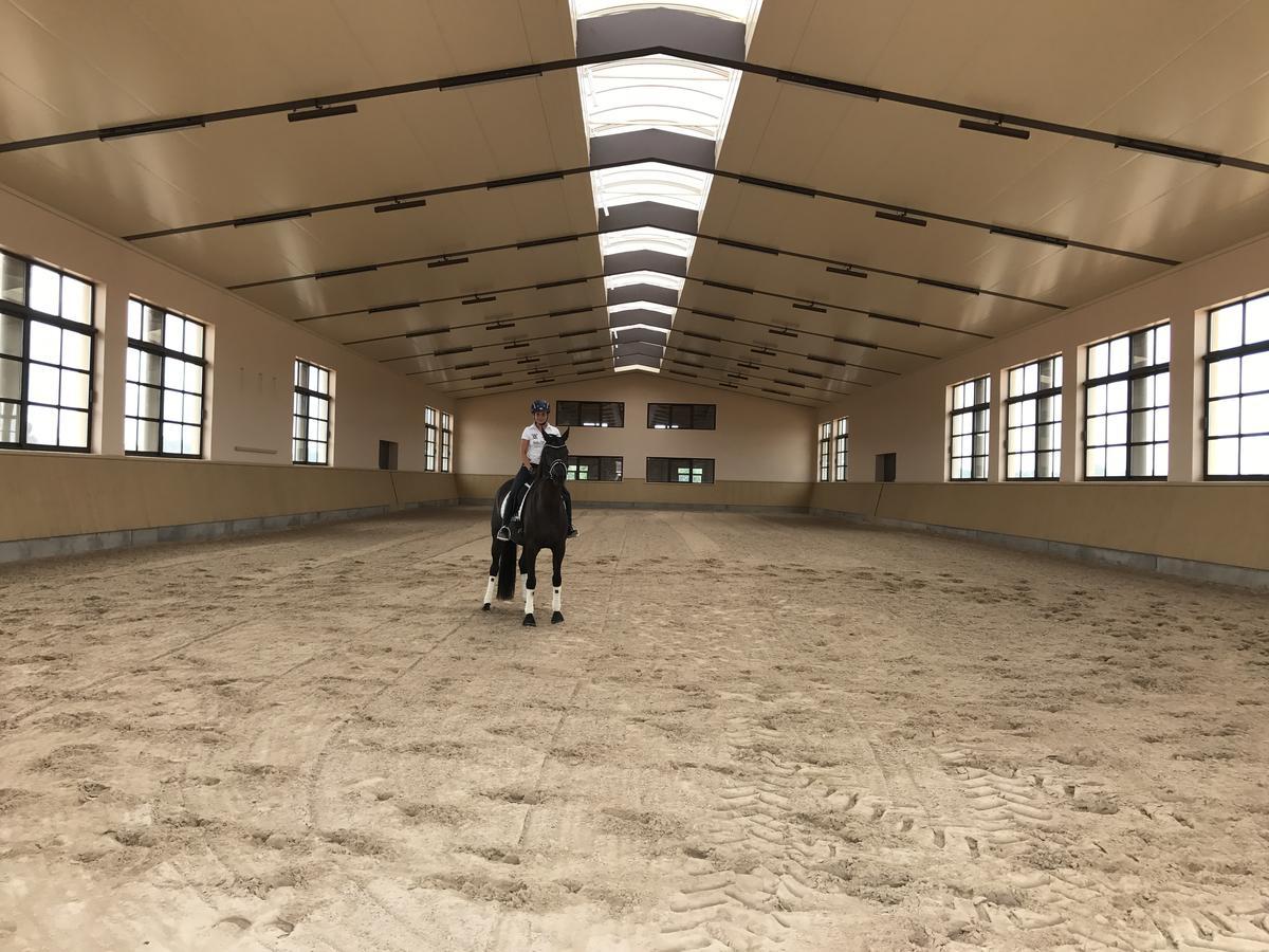 Villa Vmg Horse Ranch (Adults Only) Llucmajor  Exterior foto