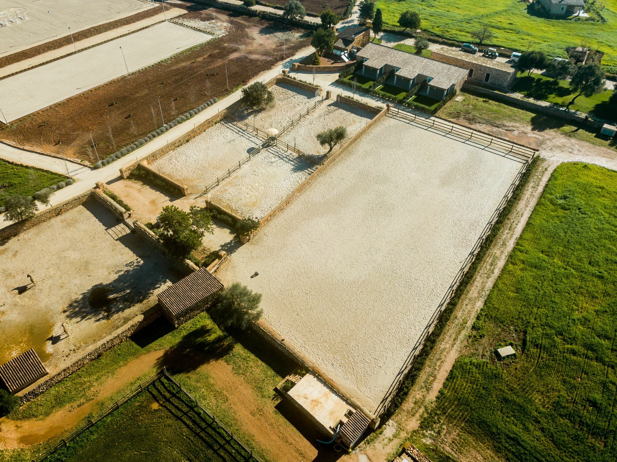 Villa Vmg Horse Ranch (Adults Only) Llucmajor  Exterior foto